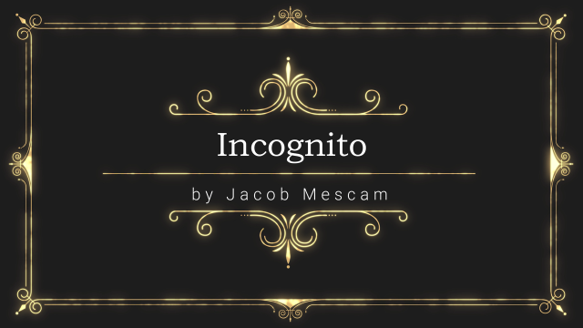 Incognito by Jacob Mescam