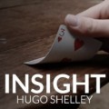 Insight by Hugo Shelley Insight by Hugo Shelley