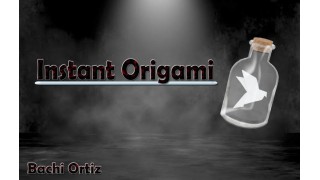 Instant Origami by Bachi Ortiz