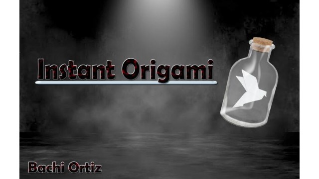 Instant Origami by Bachi Ortiz