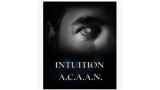Intuition Acaan by Brad Ballew