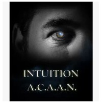 Intuition Acaan by Brad Ballew