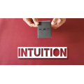 Intuition by Vinny Sagoo Intuition by Vinny Sagoo