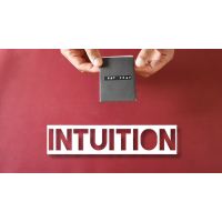 Intuition by Vinny Sagoo