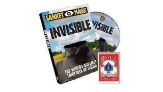 Invisible by Jay Sankey