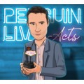 Jack Penguin Live Act Jack Penguin Live Act