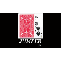Jumper by Rama Yura