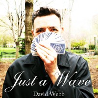 Just A Wave by David Webb