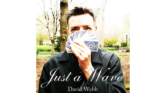 Just A Wave by David Webb