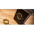 Kinetic Pk Ring by Jim Trainer Kinetic Pk Ring by Jim Trainer