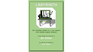 Labyrinth Illusion by Jon Gower & Mark Parker