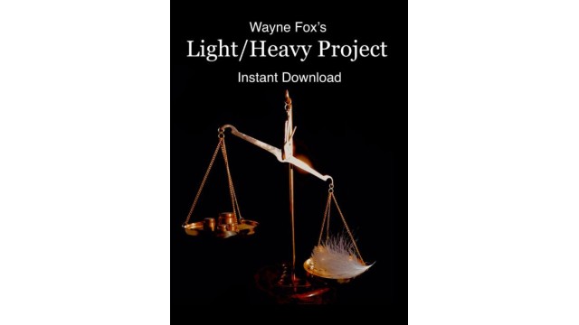 Light Heavy Project by Wayne Fox