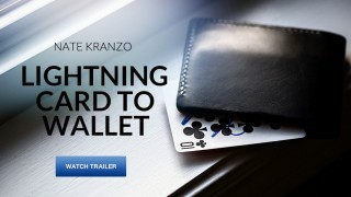 Lightning Card To Wallet by Nathon Kranzo