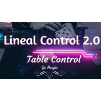 Linear Control 2.0 by Gonzalo Cuscuna
