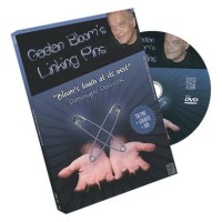 Linking Pins by Gaetan Bloom