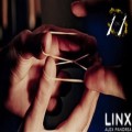Linx by Alex Pandrea Linx by Alex Pandrea