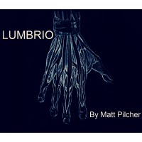Lumbrio by Matt Pilcher