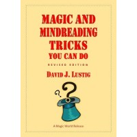 Magic And Mindreading Tricks You Can Do by David J. Lustig