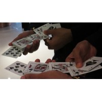 Magic Encarta Presents The Royal Flash by Vivek Singhi
