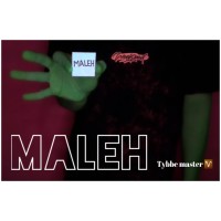 Maleh by Tybbe Master