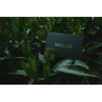 Malice by Eric Jones And Lost Art Magic
