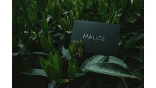 Malice by Eric Jones And Lost Art Magic