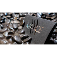 Malice by Xavior Spade