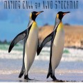 Mating Call by Alvo Stockman Mating Call by Alvo Stockman