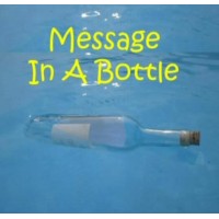 Message In A Bottle by Tom Yurasits