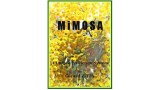Mimosa by Gerard Zitta