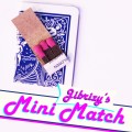 Mini Match by Jibrizy Taylor Mini Match by Jibrizy Taylor