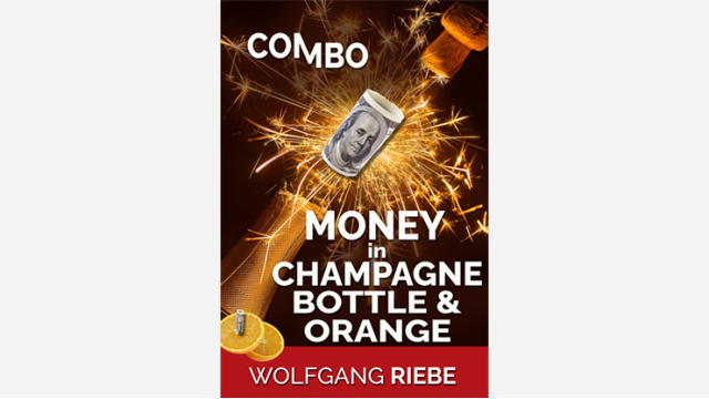 Money In Champagne Bottle & Orange by Wolfgang Riebe