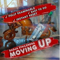 Moving Up by Radja Syailendra