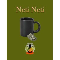 Neti Neti by Sudo Nimh
