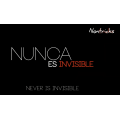 Never Is Invisible by Kiko Pastur