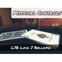 New Controls Project - Mystical Controls by Luca J. Bellomo (Ljb)