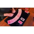 Nid (Normal Invisible Deck) by Diogo Viana Nid (Normal Invisible Deck) by Diogo Viana