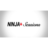 Ninja by Michael O'Brien