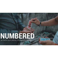 Numbered by Parlin Lay