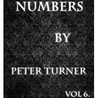 Numbers (Vol 6) by Peter Turner