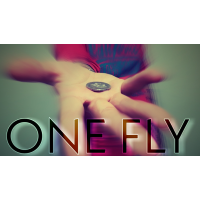 One Fly by Alessandro Criscione