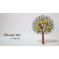 Orange Tree by Hugo Choi