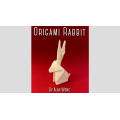 Origami Rabbit by Alan Wong Origami Rabbit by Alan Wong
