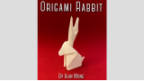 Origami Rabbit by Alan Wong