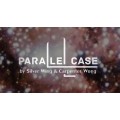 P Case Blue by Silver Wing P Case Blue by Silver Wing