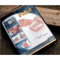Panic by Aaron Fisher
