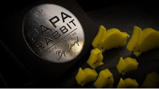 Papa Rabbit Hits The Big Time by Daryl