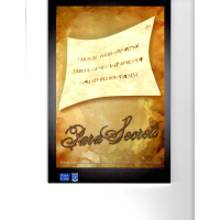 Para Secrets by R. Mees, T. Heine