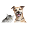 Pawology Palm Reading For Animals Paws & Animal Hypnosis by Jonathan Royle Pawology Palm Reading For Animals Paws & Animal Hypnosis by Jonathan Royle