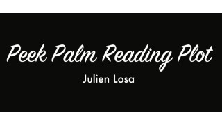 Peek Palm Reading Plot by Julien Losa